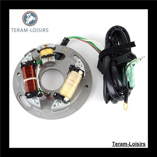 Statore alternatore per yamaha - per,